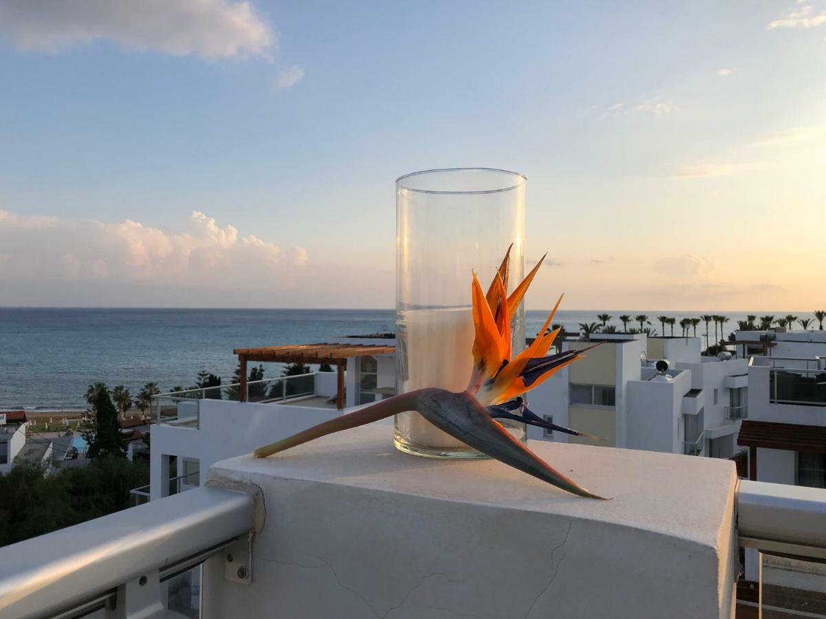 Marina View Villa 11 Peyia Luaran gambar